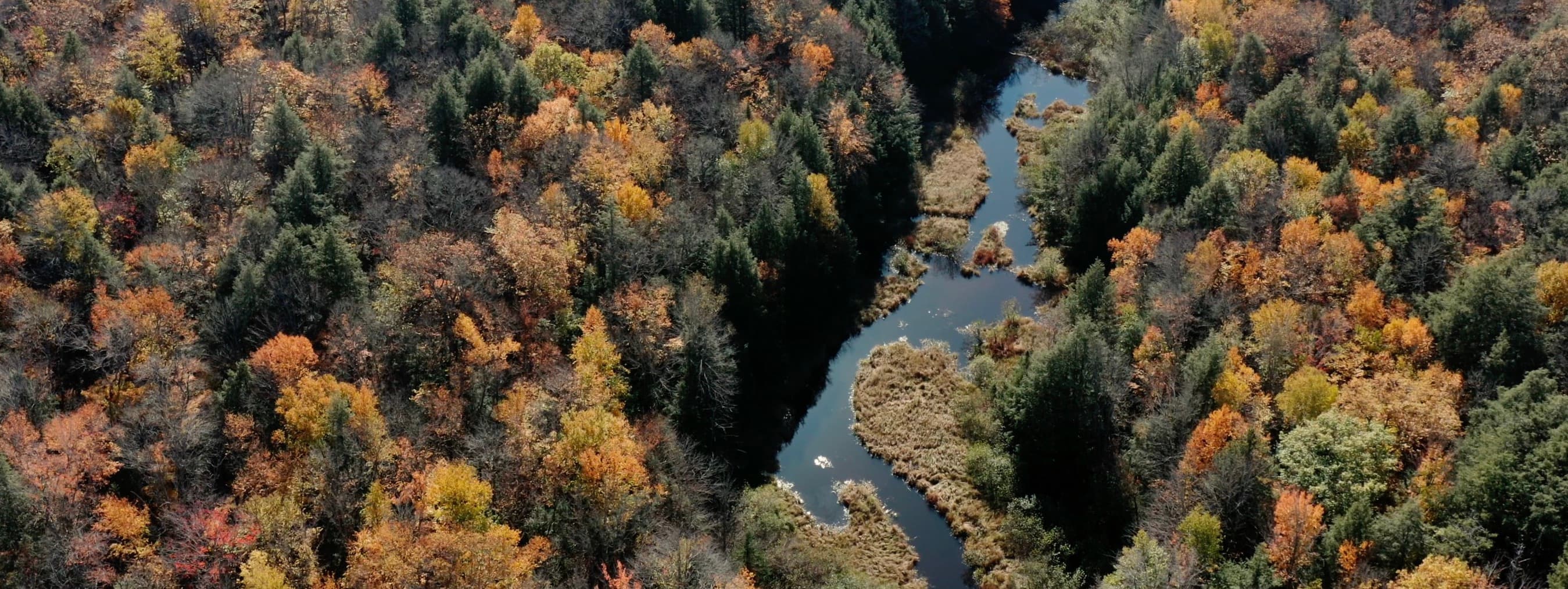 Still 1
